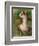 Seated Nude-Pierre-Auguste Renoir-Framed Giclee Print