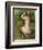 Seated Nude-Pierre-Auguste Renoir-Framed Giclee Print