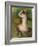 Seated Nude-Pierre-Auguste Renoir-Framed Giclee Print