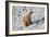 Seated Polar Bear-Martin Fowkes-Framed Giclee Print