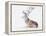 Seated Stag, 2006-Mark Adlington-Framed Premier Image Canvas