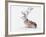 Seated Stag, 2006-Mark Adlington-Framed Giclee Print