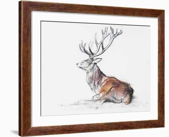 Seated Stag, 2006-Mark Adlington-Framed Giclee Print