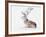 Seated Stag, 2006-Mark Adlington-Framed Giclee Print