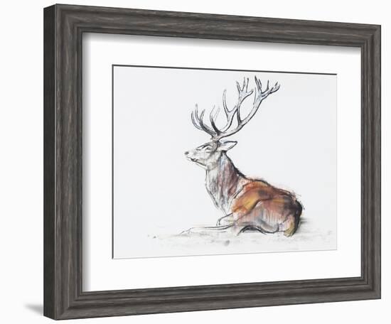 Seated Stag, 2006-Mark Adlington-Framed Giclee Print