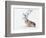 Seated Stag, 2006-Mark Adlington-Framed Giclee Print