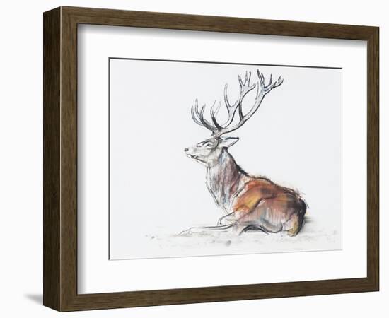 Seated Stag, 2006-Mark Adlington-Framed Giclee Print