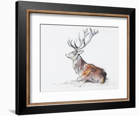 Seated Stag, 2006-Mark Adlington-Framed Giclee Print