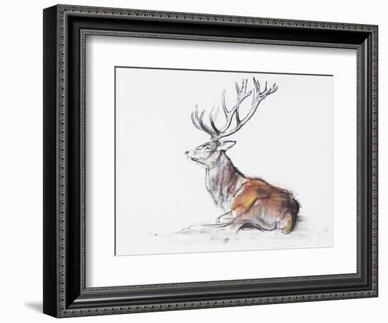 Seated Stag, 2006-Mark Adlington-Framed Giclee Print