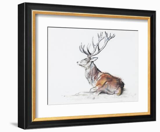 Seated Stag, 2006-Mark Adlington-Framed Giclee Print