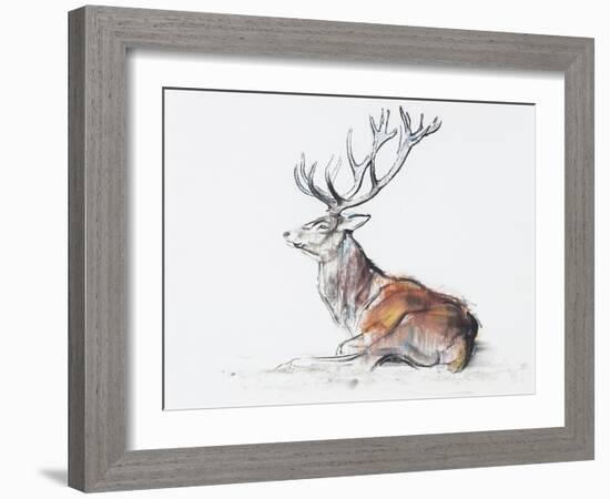 Seated Stag, 2006-Mark Adlington-Framed Giclee Print