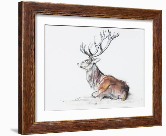 Seated Stag, 2006-Mark Adlington-Framed Giclee Print