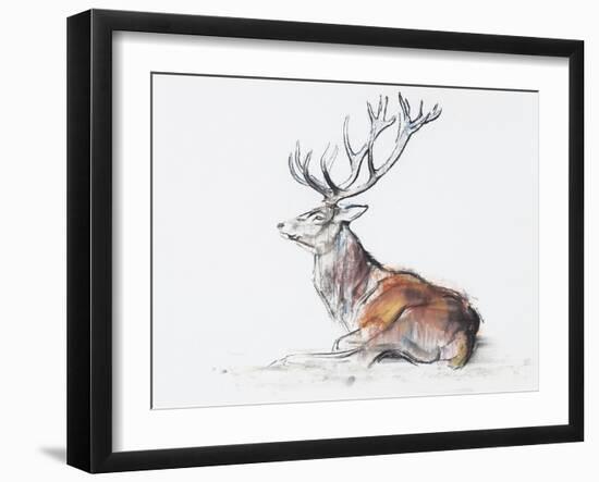 Seated Stag, 2006-Mark Adlington-Framed Giclee Print