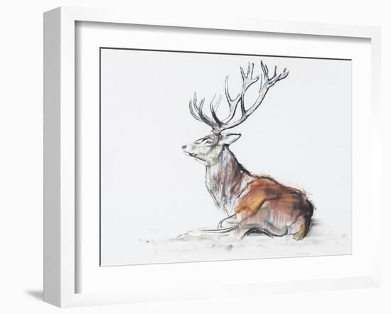 Seated Stag, 2006-Mark Adlington-Framed Giclee Print