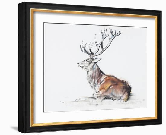 Seated Stag, 2006-Mark Adlington-Framed Giclee Print