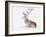 Seated Stag, 2006-Mark Adlington-Framed Giclee Print