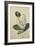 Seated Woman with Green Stockings-Egon Schiele-Framed Giclee Print