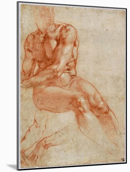 Seated Young Male Nude and Two Arm Studies, Ca 1510-1511-Michelangelo Buonarroti-Mounted Giclee Print