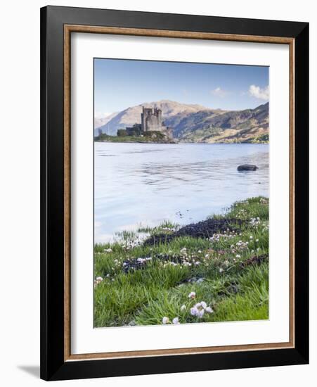 Seathrift Flowers in Front of Eilean Donan Castle and Loch Duich, Highlands, Scotland-Julian Elliott-Framed Photographic Print