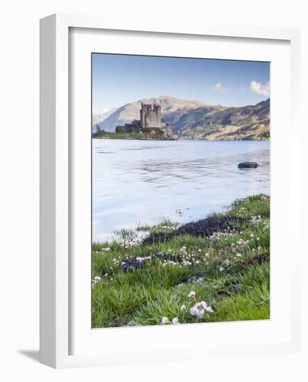 Seathrift Flowers in Front of Eilean Donan Castle and Loch Duich, Highlands, Scotland-Julian Elliott-Framed Photographic Print