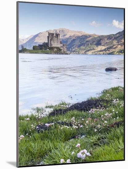 Seathrift Flowers in Front of Eilean Donan Castle and Loch Duich, Highlands, Scotland-Julian Elliott-Mounted Photographic Print