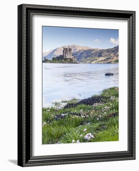 Seathrift Flowers in Front of Eilean Donan Castle and Loch Duich, Highlands, Scotland-Julian Elliott-Framed Photographic Print