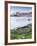 Seathrift Flowers in Front of Eilean Donan Castle and Loch Duich, Highlands, Scotland-Julian Elliott-Framed Photographic Print