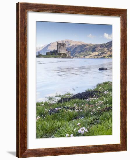 Seathrift Flowers in Front of Eilean Donan Castle and Loch Duich, Highlands, Scotland-Julian Elliott-Framed Photographic Print