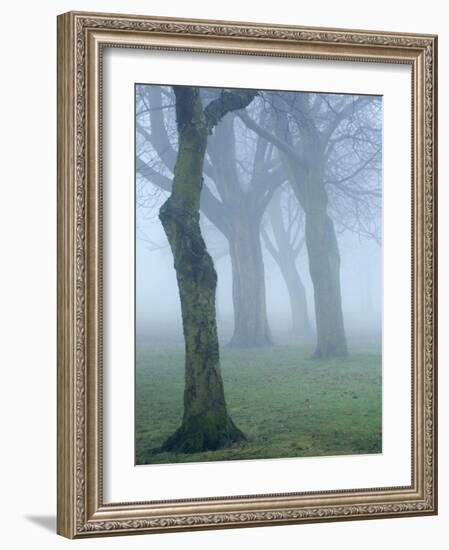 Seatroop-Craig Roberts-Framed Photographic Print