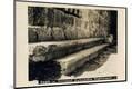 Photographic Print