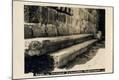 Photographic Print