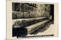 Photographic Print