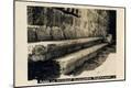 Photographic Print