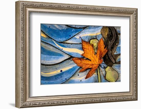 Seattle Fall-Ursula Abresch-Framed Photographic Print