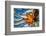 Seattle Fall-Ursula Abresch-Framed Photographic Print