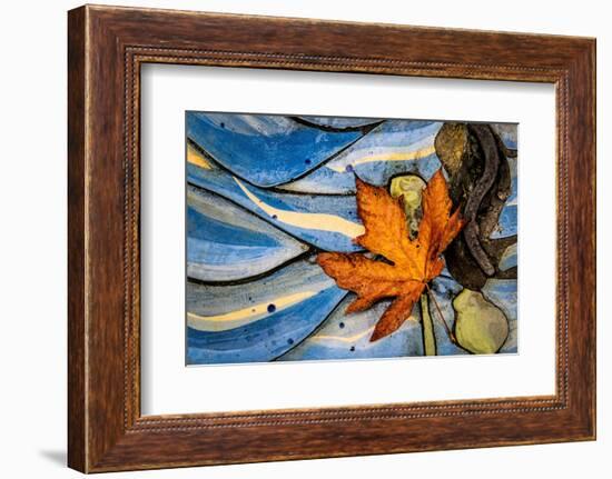 Seattle Fall-Ursula Abresch-Framed Photographic Print