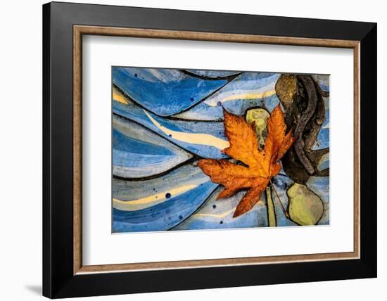 Seattle Fall-Ursula Abresch-Framed Photographic Print