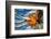 Seattle Fall-Ursula Abresch-Framed Photographic Print