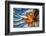 Seattle Fall-Ursula Abresch-Framed Photographic Print