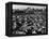 Seattle: Hooverville, 1933-null-Framed Premier Image Canvas