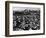 Seattle: Hooverville, 1933-null-Framed Photographic Print