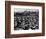 Seattle: Hooverville, 1933-null-Framed Photographic Print