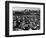 Seattle: Hooverville, 1933-null-Framed Photographic Print