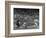 Seattle Rainiers at bat Photograph - Seattle, WA-Lantern Press-Framed Art Print