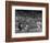 Seattle Rainiers at bat Photograph - Seattle, WA-Lantern Press-Framed Art Print