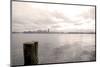 Seattle skyline from Alki, Seattle, Washington State, USA-Savanah Stewart-Mounted Photographic Print