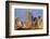 Seattle Skyline, Washington State, United States of America, North America-Richard Cummins-Framed Photographic Print