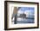 Seattle Space Needle Reflections, Seattle Center, Wa-Stuart Westmorland-Framed Photographic Print