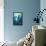 Seattle, Washington - Great White Shark-Lantern Press-Framed Stretched Canvas displayed on a wall