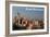 Seattle, Washington - Skyline and Rainier-Lantern Press-Framed Art Print